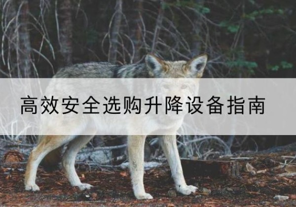 南乐升降货梯厂家推荐-*安全选购升降设备指南