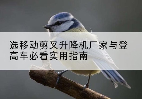 南乐电动升降机厂家-选移动剪叉升降机厂家与登高车必看实用指南