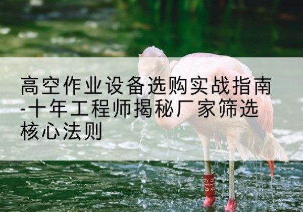 南乐剪叉式升降机厂家-高空作业设备选购实战指南-十年工程师揭秘厂家筛选核心法则